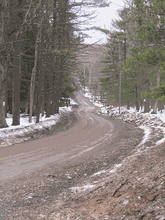 Cochecton Turnpike Stage